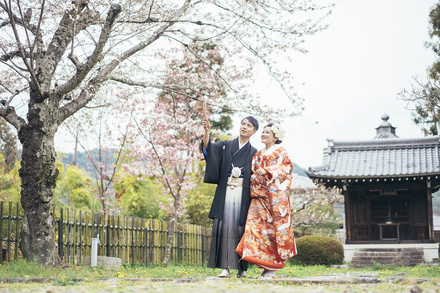 大覚寺　大沢池4月上旬