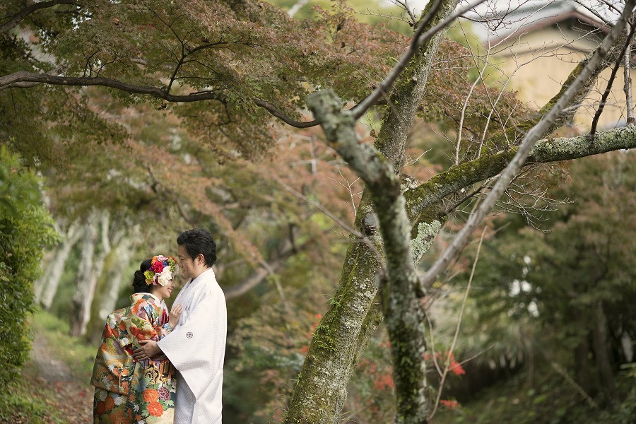 大覚寺　大沢池11月中旬