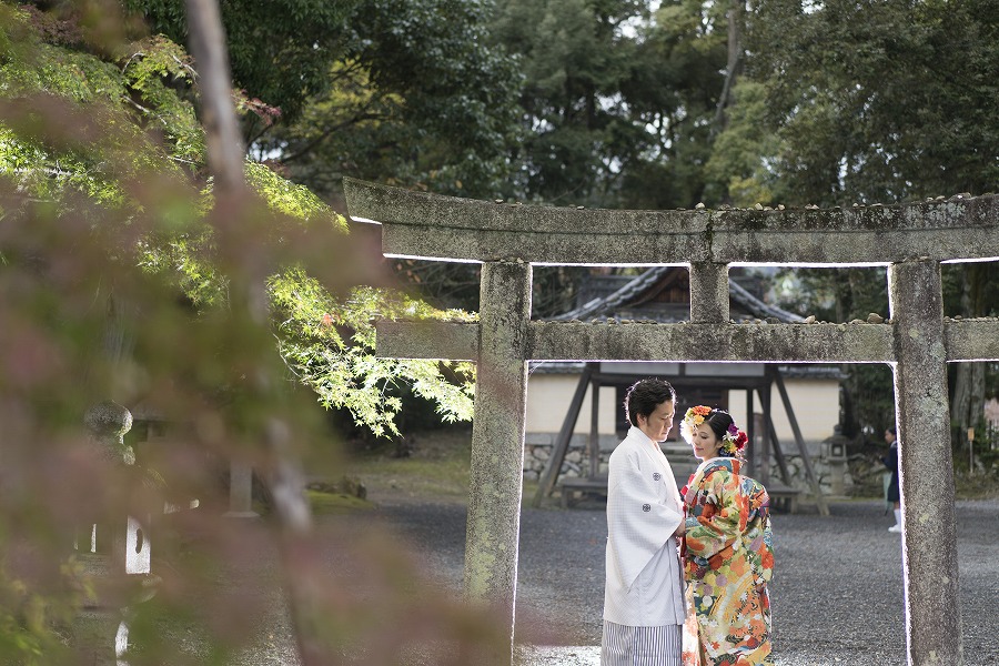 大覚寺　大沢池11月中旬