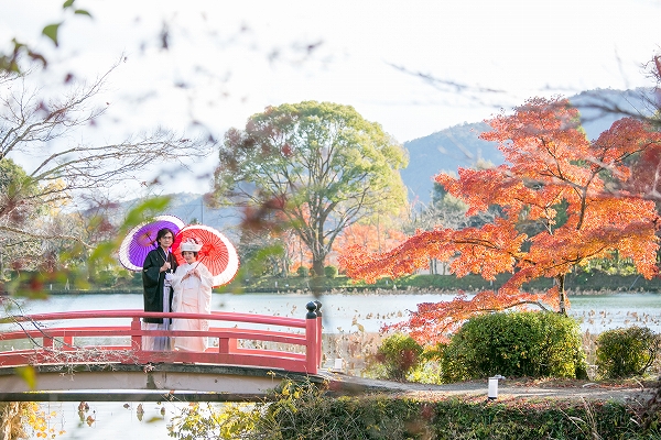 大覚寺　大沢池12月上旬