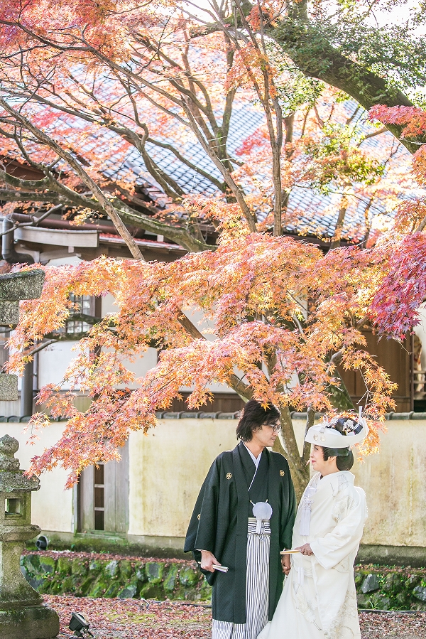 大覚寺　大沢池12月上旬