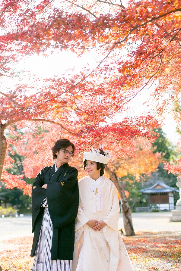 大覚寺　大沢池12月上旬