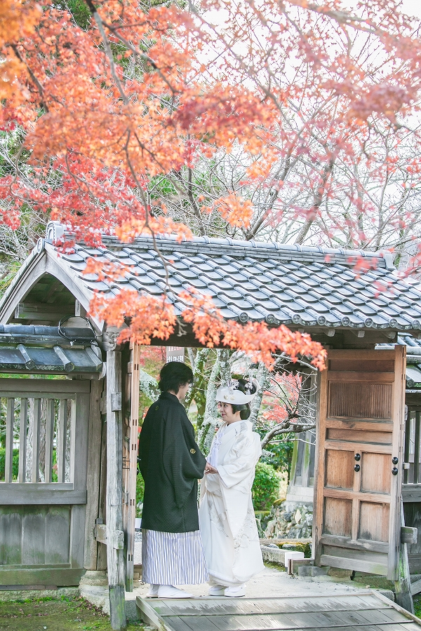 大覚寺　大沢池12月上旬