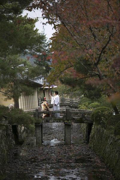 大覚寺境内　11月中旬