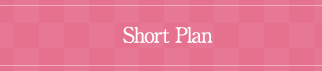 Short Plan ¥48,600